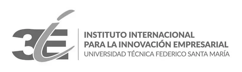 3IE-USM